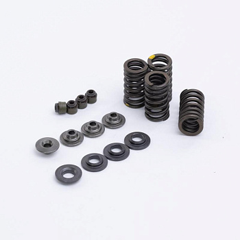 Ремкомплект клапанов ZS177MM (NC300)